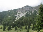 Še zadnji pogled na Košuto - še vedno v megli Še zadnji pogled na Košuto - še vedno v megli